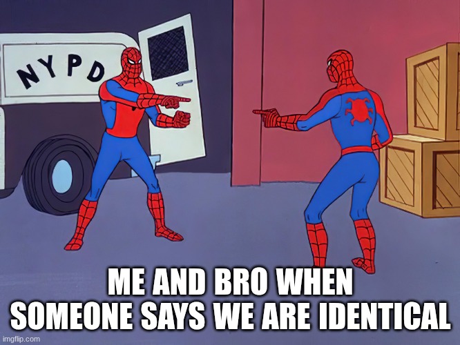 Me and bro average day | ME AND BRO WHEN SOMEONE SAYS WE ARE IDENTICAL | made w/ Imgflip meme maker