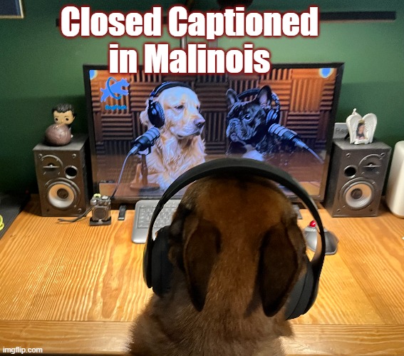 Pupcast | Closed Captioned in Malinois | image tagged in podcast puppies | made w/ Imgflip meme maker