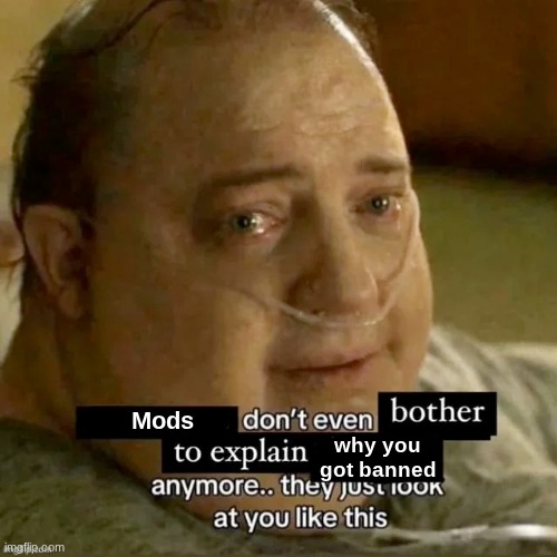 Mods; why you got banned | made w/ Imgflip meme maker