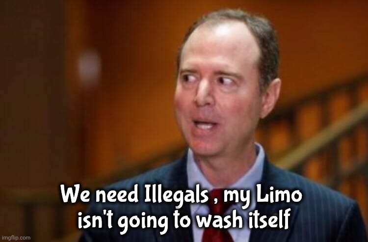 Adam Schiff | We need Illegals , my Limo 
isn't going to wash itself | image tagged in adam schiff | made w/ Imgflip meme maker
