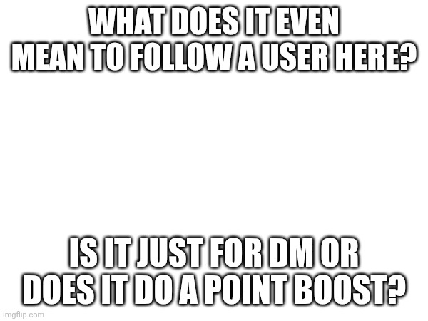 WHAT DOES IT EVEN MEAN TO FOLLOW A USER HERE? IS IT JUST FOR DM OR DOES IT DO A POINT BOOST? | made w/ Imgflip meme maker