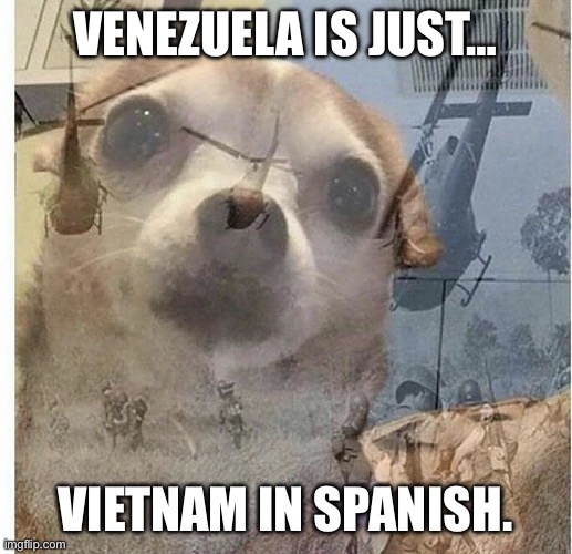 Venezuela Vietnam | VENEZUELA IS JUST…; VIETNAM IN SPANISH. | image tagged in venezuela,vietnam,war,trump,republicans,united states | made w/ Imgflip meme maker