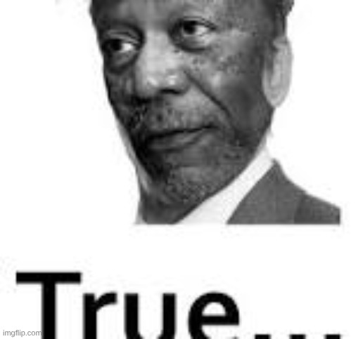 true... | image tagged in true | made w/ Imgflip meme maker