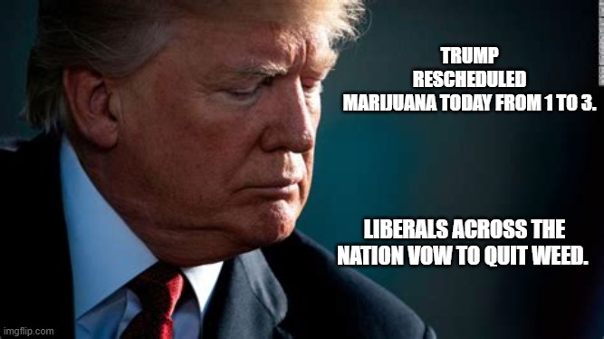 Trump Mamajuana | TRUMP RESCHEDULED MARIJUANA TODAY FROM 1 TO 3. LIBERALS ACROSS THE NATION VOW TO QUIT WEED. | image tagged in trump mamajuana | made w/ Imgflip meme maker
