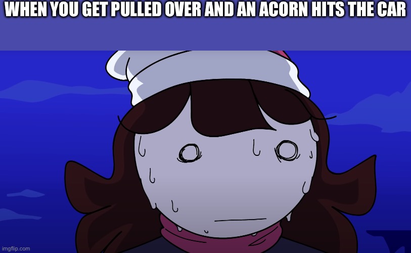 Oh naw | WHEN YOU GET PULLED OVER AND AN ACORN HITS THE CAR | image tagged in jaiden sweating nervously | made w/ Imgflip meme maker