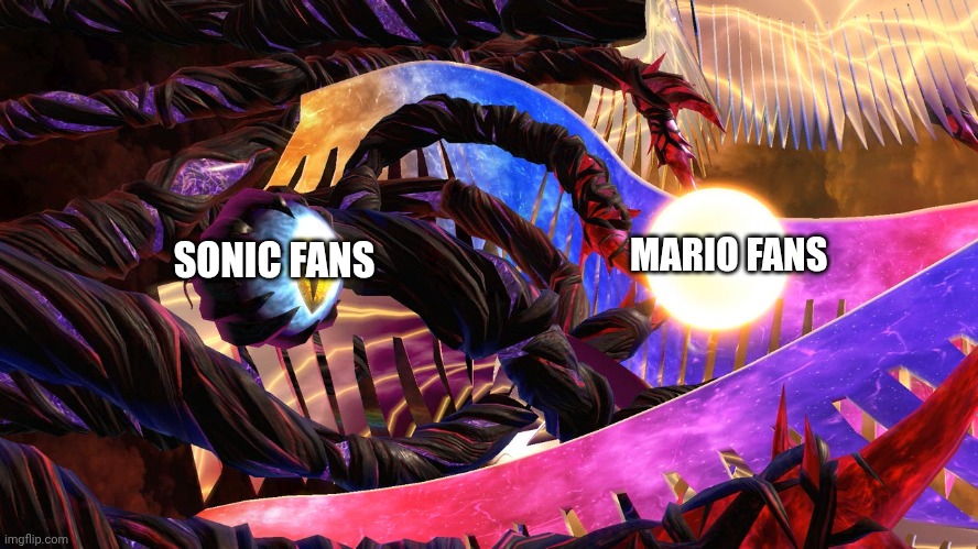 Sonic and Mario fans be like | MARIO FANS; SONIC FANS | image tagged in fun | made w/ Imgflip meme maker