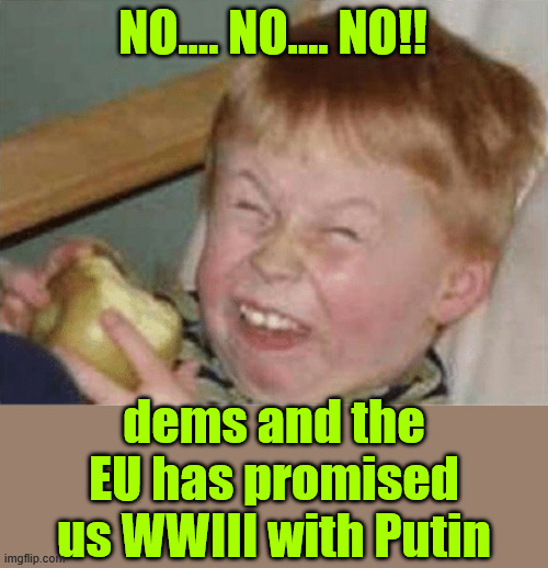 sour apple | NO.... NO.... NO!! dems and the EU has promised us WWIII with Putin | image tagged in sour apple | made w/ Imgflip meme maker