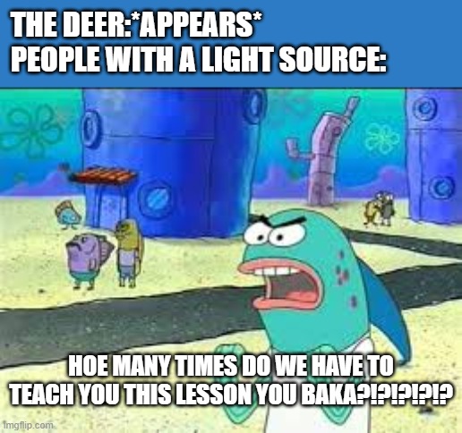 hello | THE DEER:*APPEARS*
PEOPLE WITH A LIGHT SOURCE:; HOE MANY TIMES DO WE HAVE TO TEACH YOU THIS LESSON YOU BAKA?!?!?!?!? | image tagged in how many time do i have to teach you this lesson old man,baka,japanese,99 nights,forrest,light sources | made w/ Imgflip meme maker