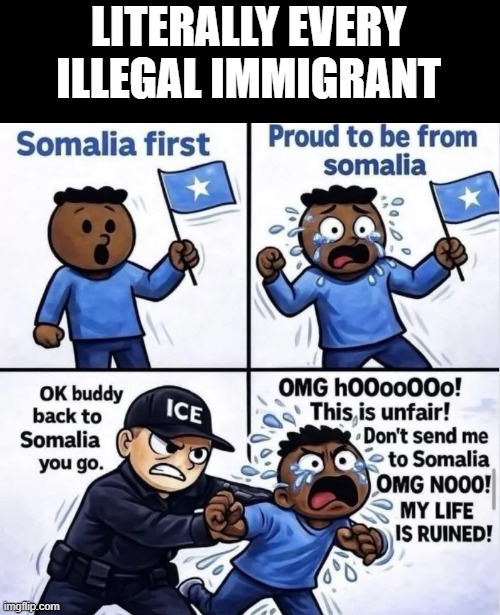 LITERALLY EVERY ILLEGAL IMMIGRANT | image tagged in liberals | made w/ Imgflip meme maker