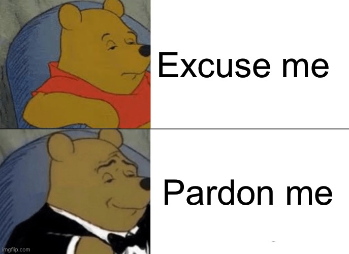 Tuxedo Winnie The Pooh Meme | Excuse me; Pardon me | image tagged in memes,tuxedo winnie the pooh | made w/ Imgflip meme maker