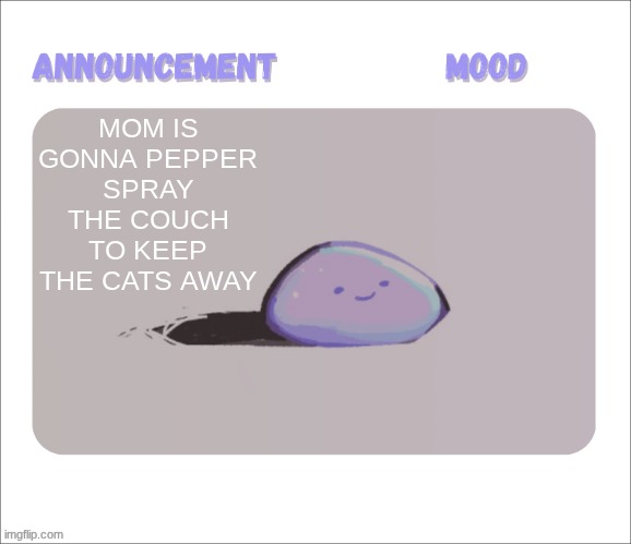 . | MOM IS GONNA PEPPER SPRAY THE COUCH TO KEEP THE CATS AWAY | image tagged in petrock's temp | made w/ Imgflip meme maker