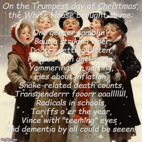 'Tis the season | On the Trumpest day of Christmas,
the White House brought to me:; One geezer ramblin' 
'Bout a striking viper,
Doctor getting bitten,
Pumped with anti-venin,
Yammerings on golfing,
Lies about inflation,
Snake-related death counts,
Transgenderrr fooorr aaalllllll,
Radicals in schools,
Tariffs o'er the year,
Vince with "teeming" eyes ,
And dementia by all could be seeen!! | image tagged in carollers,trump lies | made w/ Imgflip meme maker