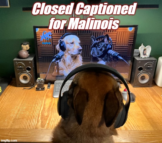 Closed Captioned for Malinois | Closed Captioned for Malinois | image tagged in podcast | made w/ Imgflip meme maker