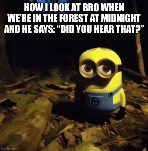 Gg’s in da chat :( | HOW I LOOK AT BRO WHEN WE’RE IN THE FOREST AT MIDNIGHT AND HE SAYS: “DID YOU HEAR THAT?” | image tagged in minion in dark forest,memes,funny,gifs,relatable,lol | made w/ Imgflip meme maker
