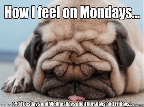 How I be weekend vs week | image tagged in gifs | made w/ Imgflip images-to-gif maker