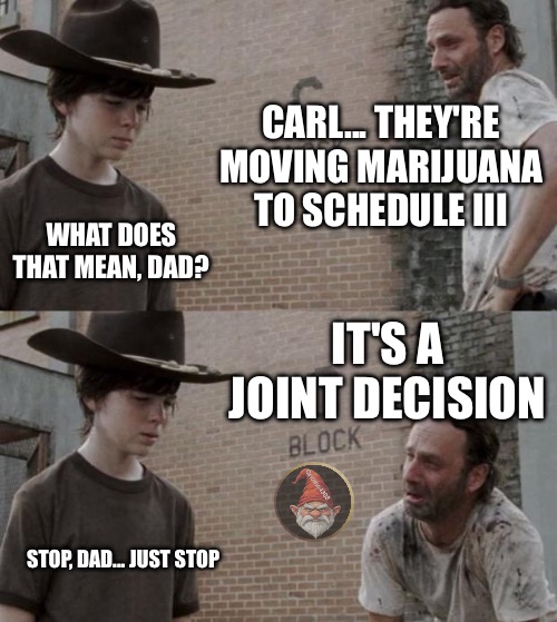 Rick and Carl Meme | CARL... THEY'RE MOVING MARIJUANA TO SCHEDULE III; WHAT DOES THAT MEAN, DAD? IT'S A JOINT DECISION; STOP, DAD... JUST STOP | image tagged in memes,rick and carl | made w/ Imgflip meme maker