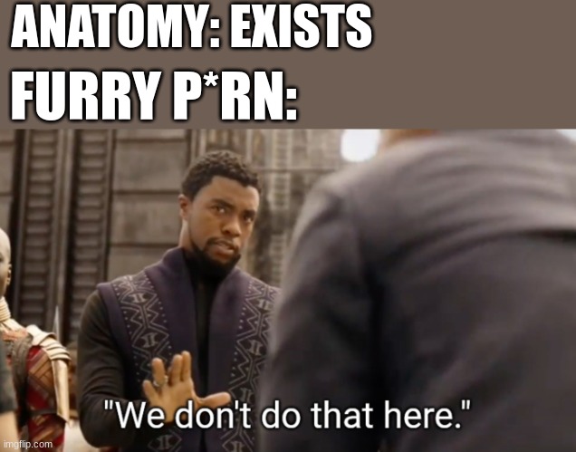 We don't do that here | ANATOMY: EXISTS; FURRY P*RN: | image tagged in we don't do that here | made w/ Imgflip meme maker