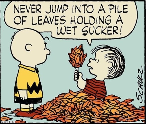 PEANUTS presents Learning from Experience | image tagged in vince vance,cartoon,autumn leaves,linus,charlie brown,sucker | made w/ Imgflip meme maker