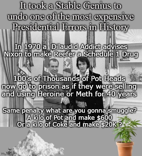 Why they switched to Peruvian Marching Powder in the 80's | It took a Stable Genius to undo one of the most expensive Presidential Errors in History; In 1970 a  Dilaudid Addict advises Nixon to make Reefer a Schedule 1 Drug; 100's of Thousands of Pot Heads now go to prison as if they were selling and using Heroine or Meth for 40 years; Same penalty what are you gonna smuggle?
A kilo of Pot and make $600
Or a kilo of Coke and make $20K ? | image tagged in trump makes pot a schedule 3 drug meme | made w/ Imgflip meme maker