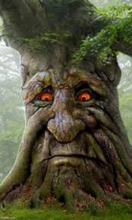 103 year old tree caught sending root pictures to underaged saplings | made w/ Imgflip meme maker