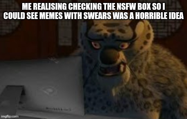 Tai Lung at the computer | ME REALISING CHECKING THE NSFW BOX SO I COULD SEE MEMES WITH SWEARS WAS A HORRIBLE IDEA | image tagged in tai lung at the computer | made w/ Imgflip meme maker