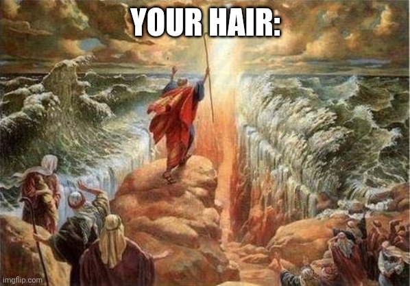 Moses parts the red sea | YOUR HAIR: | image tagged in moses parts the red sea | made w/ Imgflip meme maker
