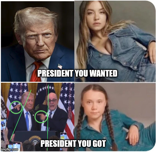 PRESIDENT YOU WANTED; PRESIDENT YOU GOT | made w/ Imgflip meme maker