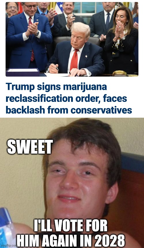 The Dope Syndrome | SWEET; I'LL VOTE FOR HIM AGAIN IN 2028 | image tagged in 10 guy,trump,leftists,2028,weed,liberals | made w/ Imgflip meme maker