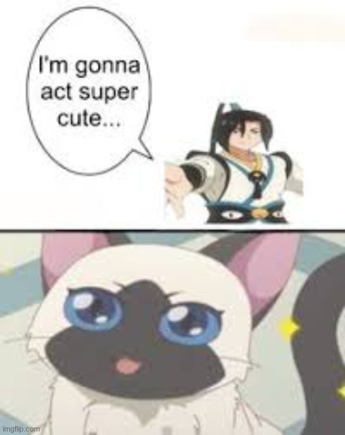 dikuis gonna act SUPER cute | image tagged in god troubles me,donghua | made w/ Imgflip meme maker