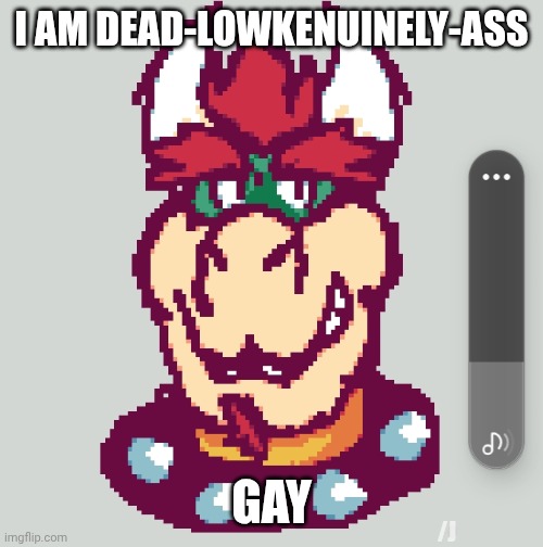 description | I AM DEAD-LOWKENUINELY-ASS; GAY; /J | made w/ Imgflip meme maker