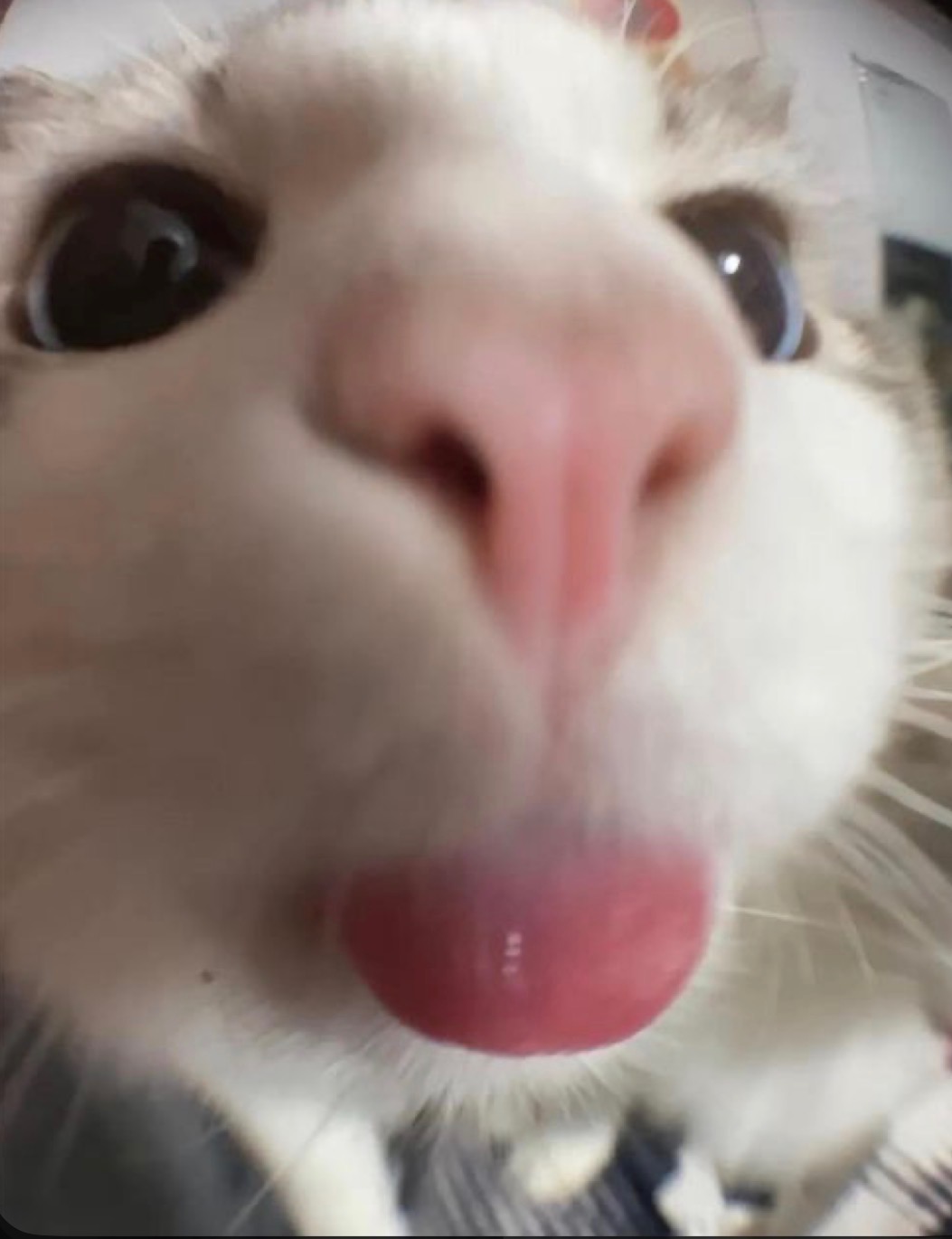 Me when X Blank Meme Template