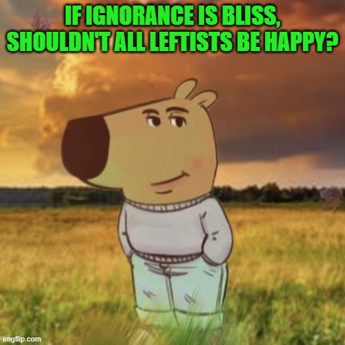 Hey, it's a legitimate question! | IF IGNORANCE IS BLISS, SHOULDN'T ALL LEFTISTS BE HAPPY? | image tagged in chill guy | made w/ Imgflip meme maker