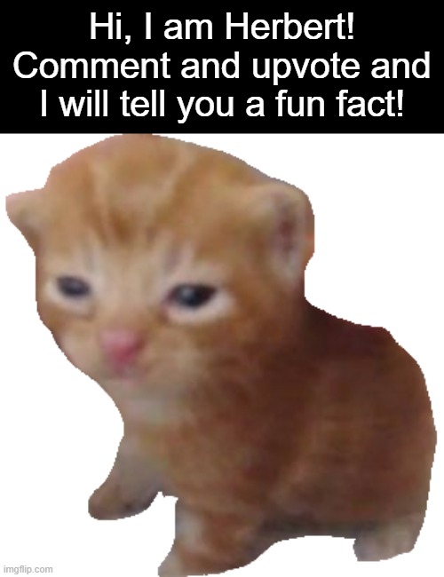 Herbert | Hi, I am Herbert! Comment and upvote and I will tell you a fun fact! | image tagged in herbert | made w/ Imgflip meme maker