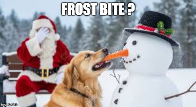 What do you call a dog biting a snowman?..............Frost bite. | FROST BITE ? | image tagged in funny,humor,dog,christmas,bite,snowman | made w/ Imgflip meme maker