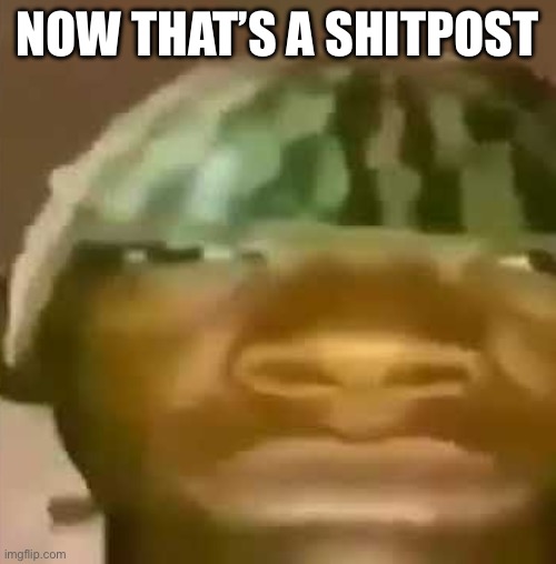 shitpost | NOW THAT’S A SHITPOST | image tagged in shitpost | made w/ Imgflip meme maker