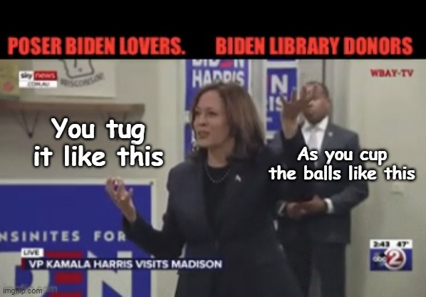 As you cup the balls like this; You tug it like this | made w/ Imgflip meme maker