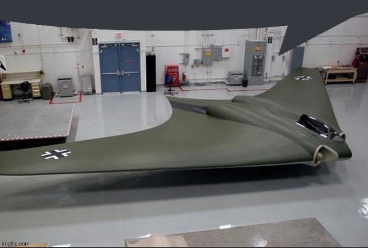 horten 229 speech bubble | image tagged in horten 229 speech bubble | made w/ Imgflip meme maker