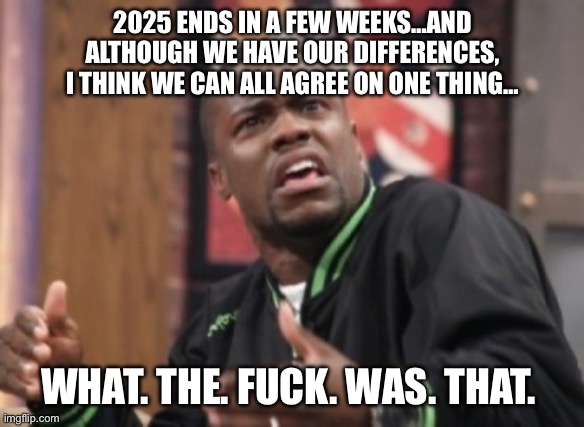 What the hell is happening | 2025 ENDS IN A FEW WEEKS…AND ALTHOUGH WE HAVE OUR DIFFERENCES, I THINK WE CAN ALL AGREE ON ONE THING…; WHAT. THE. FUCK. WAS. THAT. | image tagged in what the hell is happening | made w/ Imgflip meme maker