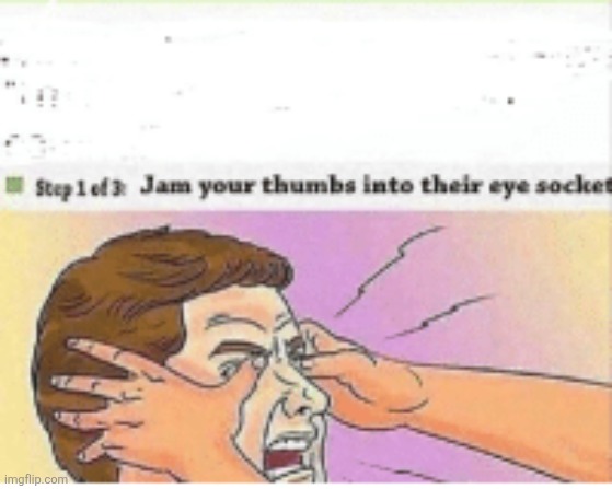 Jam Your Thumbs Into Their Eye Sockets | image tagged in jam your thumbs into their eye sockets | made w/ Imgflip meme maker