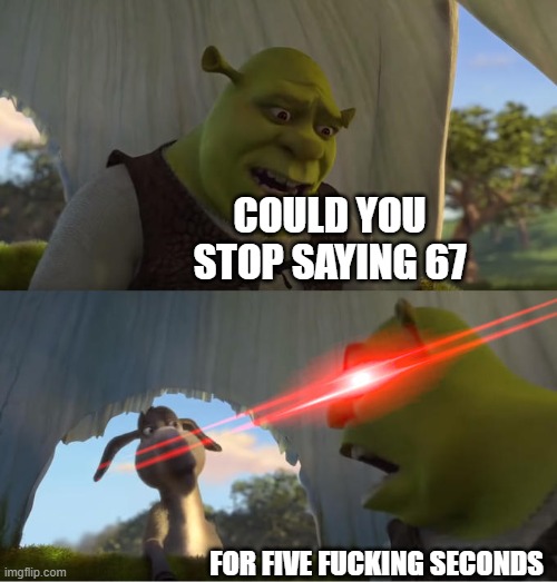 I'm sick of this | COULD YOU STOP SAYING 67; FOR FIVE FUCKING SECONDS | image tagged in shrek for five minutes,memes | made w/ Imgflip meme maker