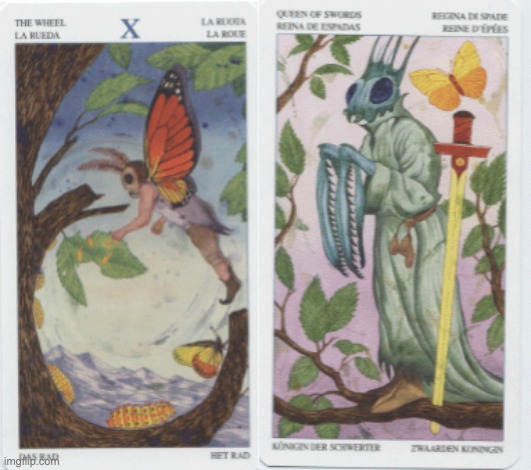 Care for a reading? | image tagged in tarot,fortune teller,wheel of fortune,cards,bugs | made w/ Imgflip meme maker