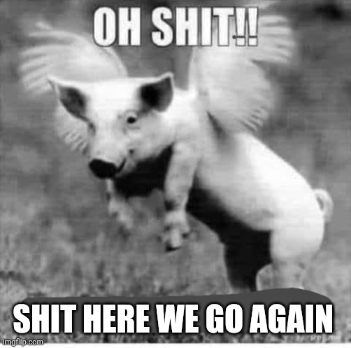 SHIT HERE WE GO AGAIN | made w/ Imgflip meme maker