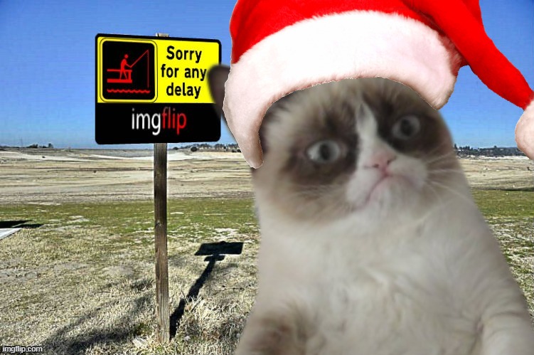 Grumpy Cat imgflip | image tagged in grumpy cat imgflip | made w/ Imgflip meme maker