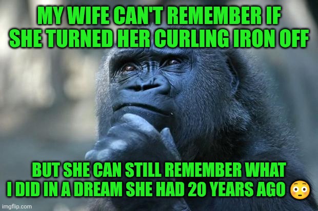 Deep Thoughts | MY WIFE CAN'T REMEMBER IF SHE TURNED HER CURLING IRON OFF; BUT SHE CAN STILL REMEMBER WHAT I DID IN A DREAM SHE HAD 20 YEARS AGO 😳 | image tagged in deep thoughts | made w/ Imgflip meme maker