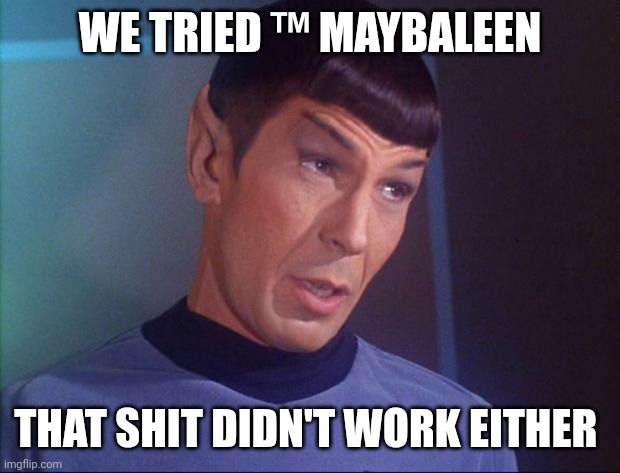 Spock | WE TRIED ™ MAYBALEEN THAT SHIT DIDN'T WORK EITHER | image tagged in spock | made w/ Imgflip meme maker