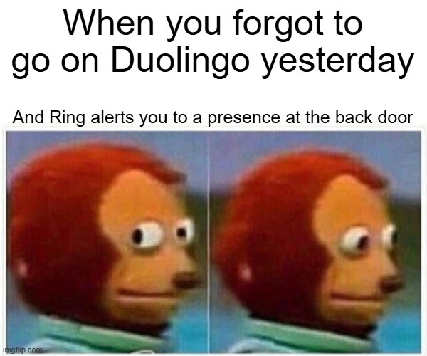 Uh oh... | When you forgot to go on Duolingo yesterday; And Ring alerts you to a presence at the back door | image tagged in memes,monkey puppet,duolingo,run | made w/ Imgflip meme maker