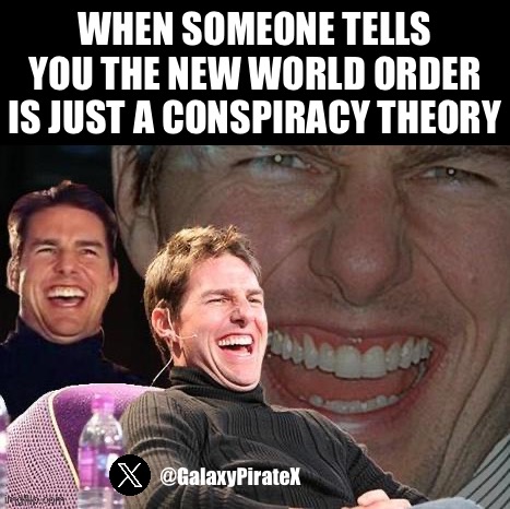 Resist The New World Order | WHEN SOMEONE TELLS YOU THE NEW WORLD ORDER IS JUST A CONSPIRACY THEORY; @GalaxyPirateX | made w/ Imgflip meme maker
