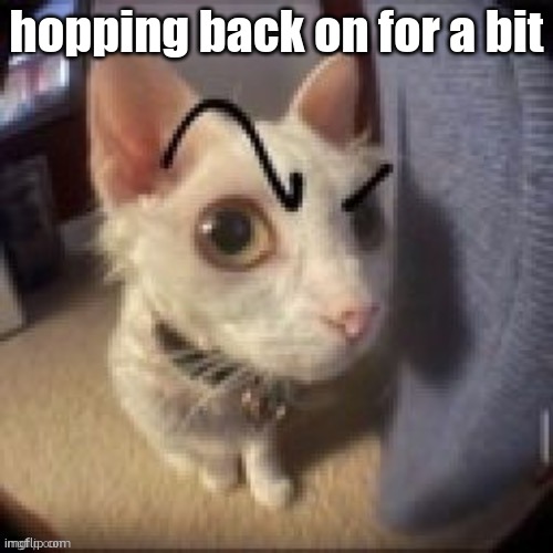 hi | hopping back on for a bit | image tagged in what | made w/ Imgflip meme maker