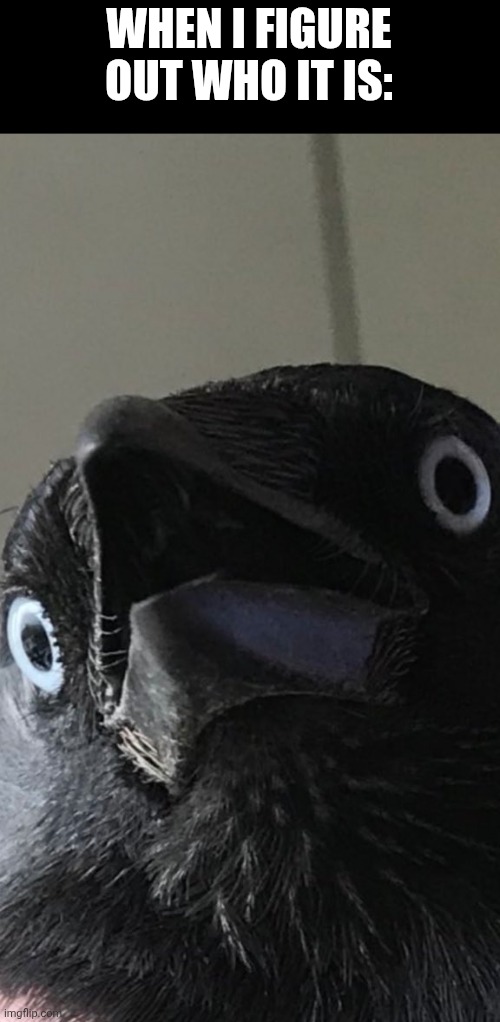 GASPING RAVEN | WHEN I FIGURE OUT WHO IT IS: | image tagged in gasping raven | made w/ Imgflip meme maker