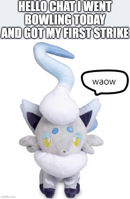 buh | HELLO CHAT I WENT BOWLING TODAY AND GOT MY FIRST STRIKE | image tagged in waow | made w/ Imgflip meme maker